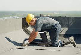 Best Roof Coating and Sealing  in Cottage Grove, MN